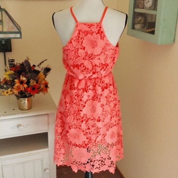 La Mode Lace Dress - Picture 5 of 9